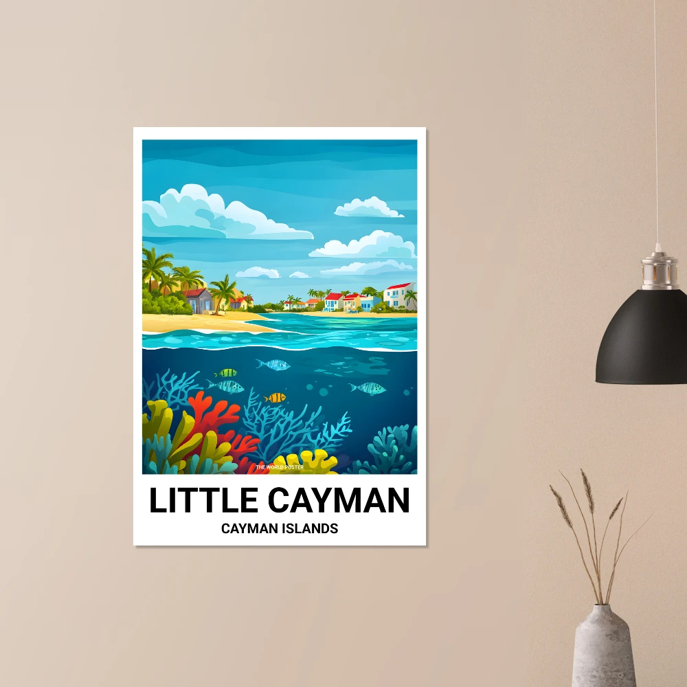 Affiche LITTLE CAYMAN - Image 6 of 6